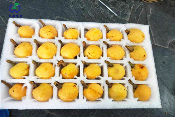 琵琶托or枇杷托，別一不小心就弄混淆了