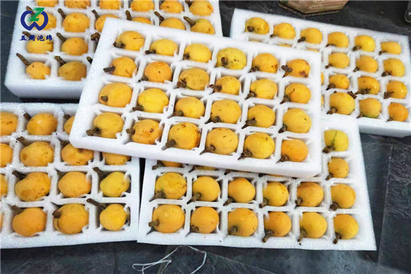 珍珠棉水果托定做，就找五周泡綿